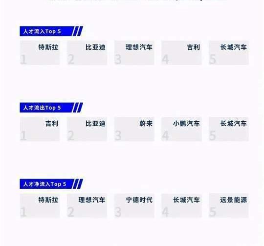 Great Wall, Weilai, Aichi, Haval, Geely Automobile