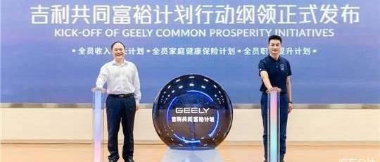 Great Wall, Weilai, Aichi, Haval, Geely Automobile