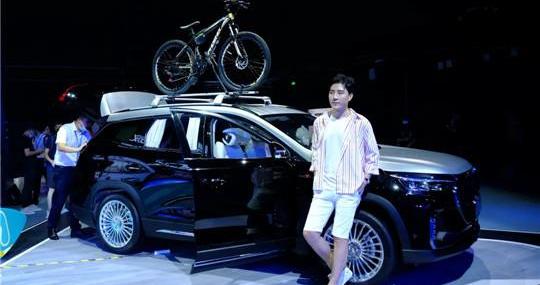 jetway, Chery, Beijing, concept, jetway X70