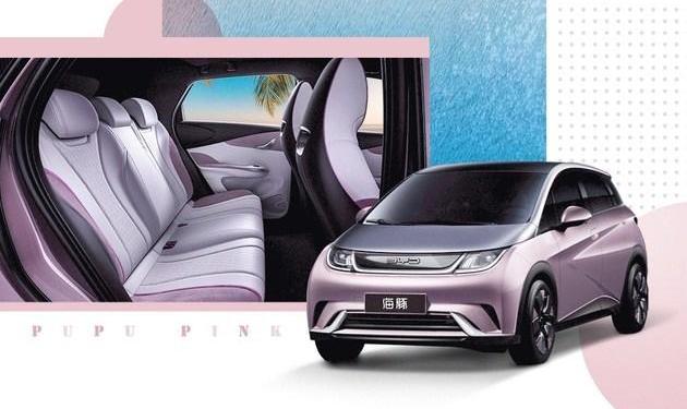 Dolphin, BYD