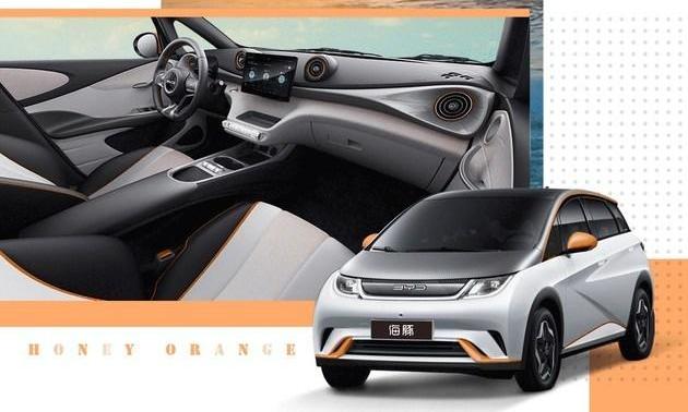 Dolphin, BYD