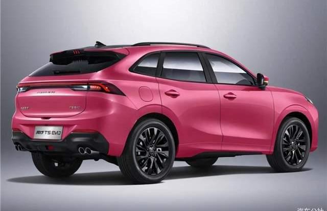 Dongfeng is popular, Dongfeng is popular, T5 is popular, T5 EVO is popular, and Lingzhi is popular