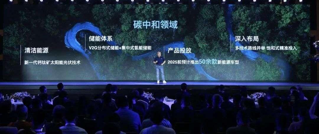 Great Wall, Euler, Haval, Tanks, BYD