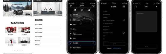 Tesla, remote, concept