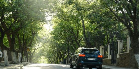 Citroen, Dongfeng