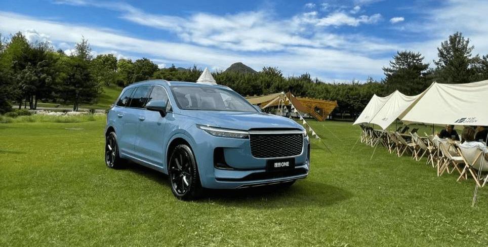 BYD, Tesla, Li ONE,MINI, Hongguang miniev