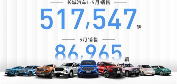 Great Wall, Haval, Haval's First Love, Euler, Tank