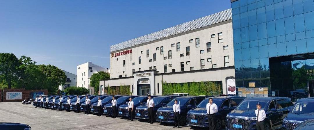 roewe, roewe iMAX8, zebra