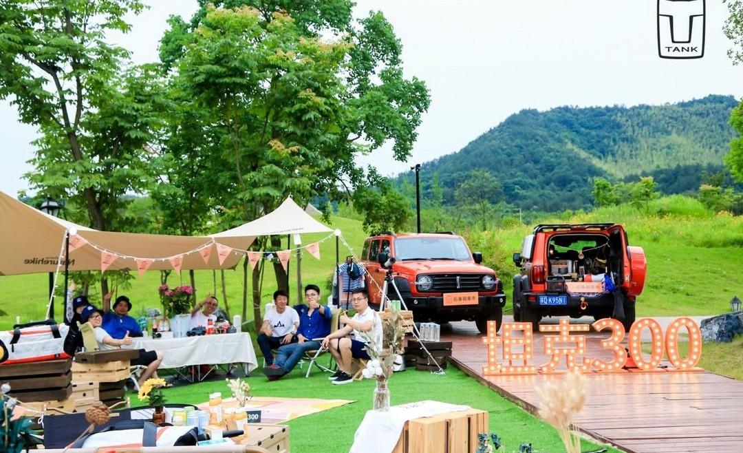 Great Wall, Tank, Haval, Gun, Euler