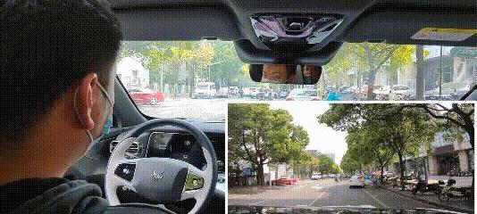 Tucki, Tesla, DS, Weimar W6, Chang 'an