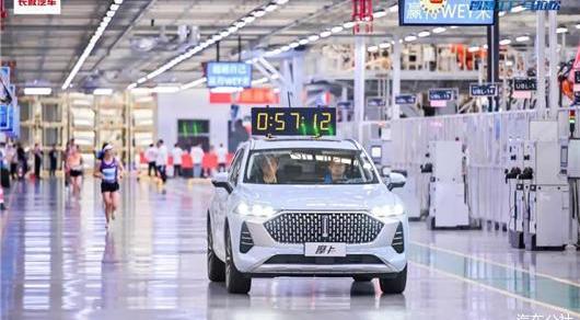 Great Wall, Idea, Haval, Tank, Euler