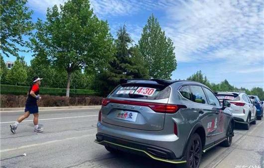 Great Wall, Idea, Haval, Tank, Euler