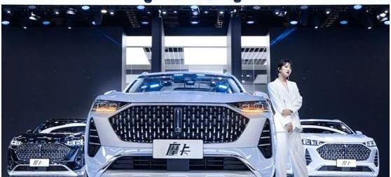 Changan, Geely Automobile, Li ONE, Tesla, BMW