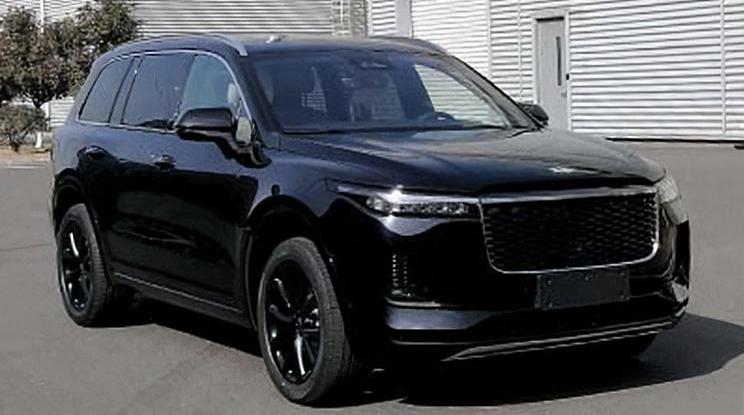 Tesla, Weilai, Jianghuai, Landau Auto, Ideal ONE