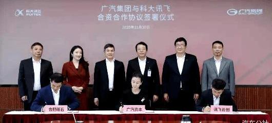 Ai 'an, Weilai, Tesla, Tucki, Iony