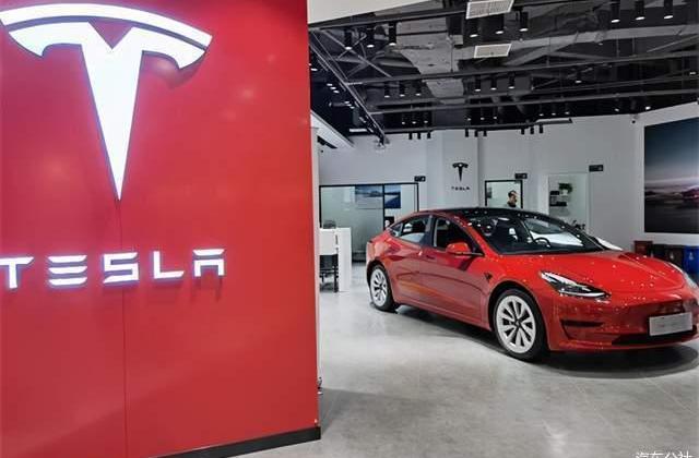 Tesla, Model Y, discovered, model 3