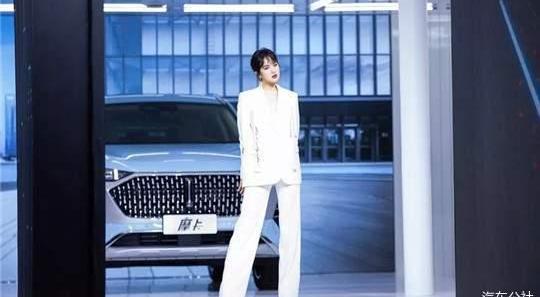 Great Wall, Haval, Tank, Euler, Gun