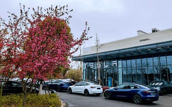 Tesla, Model 3,Model Y, remote