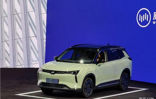 Weilai, Tucki, Li ONE, Nezha Automobile, Nezha U