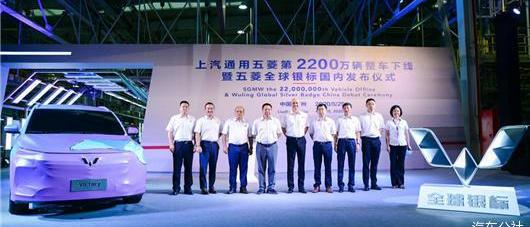 MINI, Hongguang MINIEV, Tesla, Roewe, Weilai 