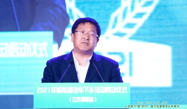 MINI, Wuling automobile, Hongguang MINIEV, Great Wall, BYD 