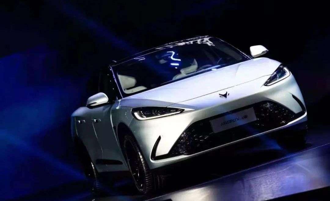 Tesla, Chang 'an, Whale, Model 3