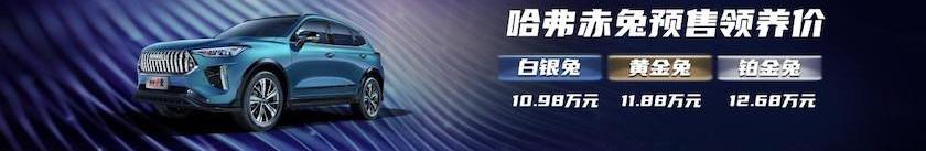 Haval, Haval Big Dog, Haval Red Rabbit, concept