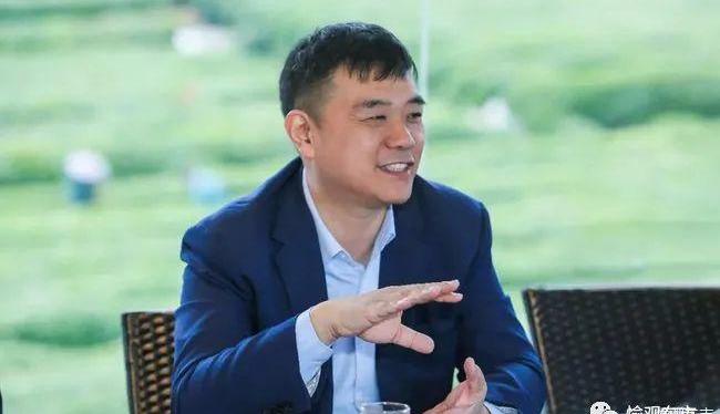 Geely Automobile, Geometry Automobile, Geometry A, Tesla, Weilai