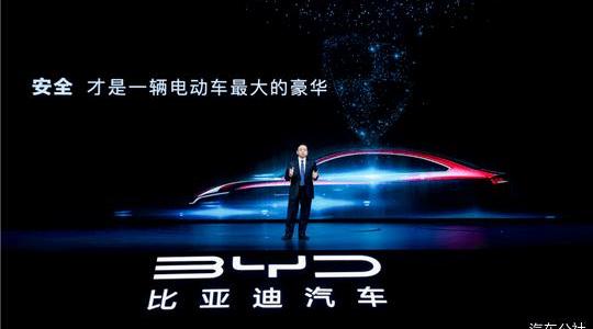 BYD, Weilai, Tesla, Model 3, Tucki