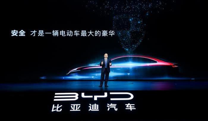 BYD, Whale