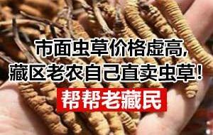 ARCFOX polar fox, Beijing, century, superior, concept 