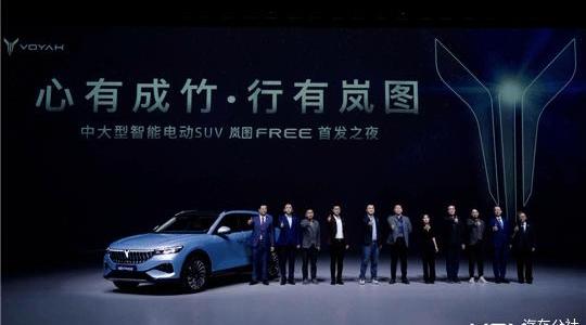 Dongfeng, Lantu Automobile, Weilai, Concept, Tesla