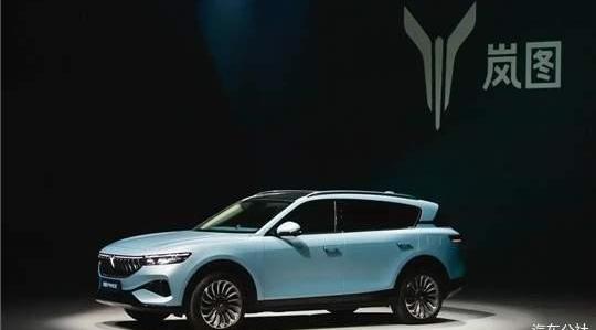 Tesla, Weilai, MINI, Zhiji Automobile, Changan