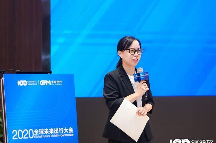 Wuling automobile, MINI, Tesla, Discovery, Hongguang miniev