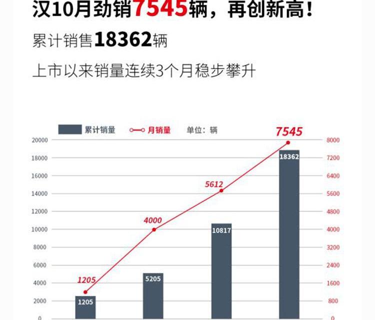 BYD, Euler, Chery, Han and Guangzhou Automobile Group