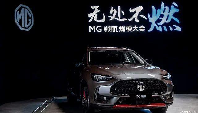 MG pilot, mg, concept, zebra, gun 