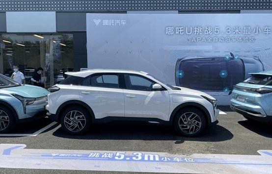 Mercedes-Benz, BMW, Buick, Nezha Automobile, Weilai