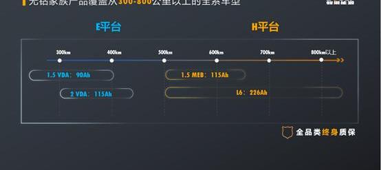 Beijing, Great Wall, Tesla, XEV