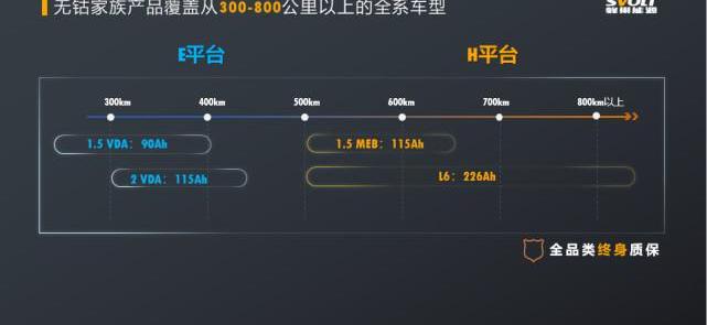 Tesla, Great Wall, XEV