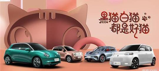 Euler, Euler Good Cat, Great Wall, BMW, Beijing