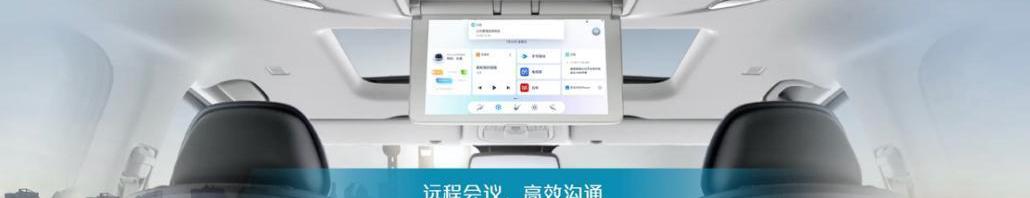 SAIC Chase MAXUS, SAIC Chase MAXUS G20, Beijing, Zebra
