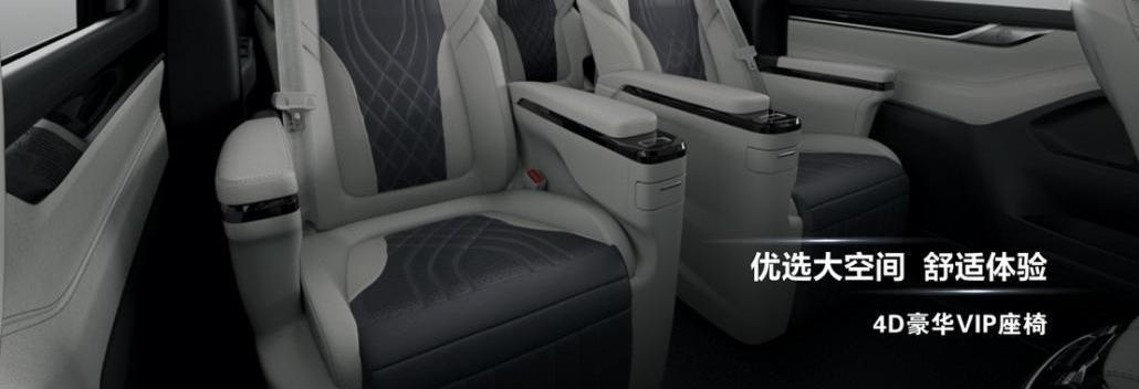 SAIC Chase MAXUS, SAIC Chase MAXUS G20, Beijing, Zebra