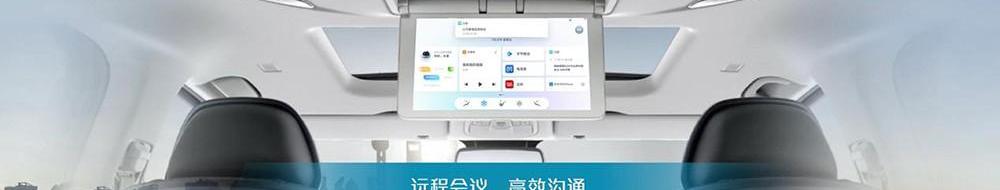 SAIC Chase MAXUS, SAIC Chase MAXUS G20, Beijing, Zebra