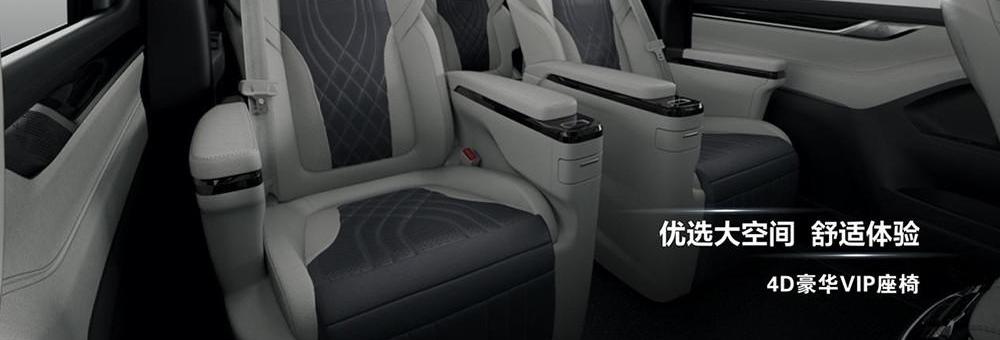 SAIC Chase MAXUS, SAIC Chase MAXUS G20, Beijing, Zebra