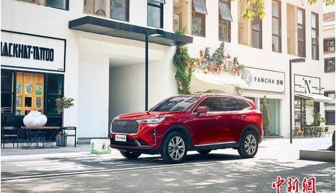 Great Wall, Beijing, Haval, Euler, Euler's Good Cat