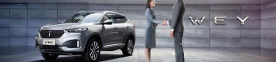Great Wall, Haval, Cannon, Euler, Haval H6