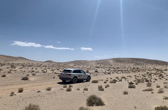 Audi, Audi Q7, camel, found