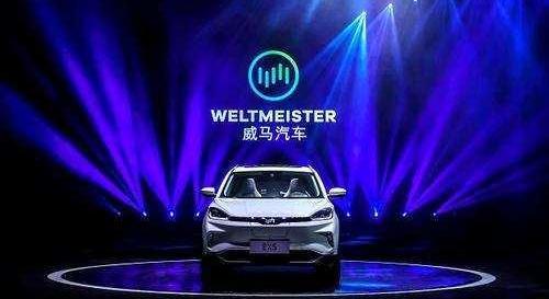 Geely Automobile, Weimar Automobile, Weilai, Lectra, LI