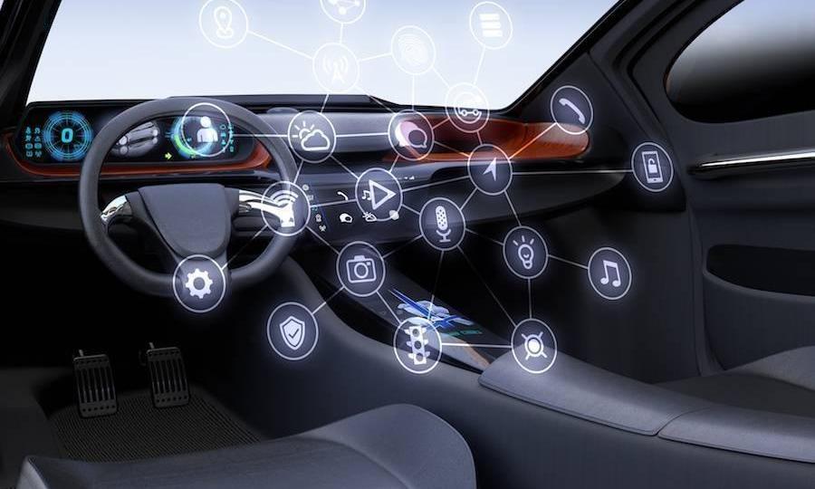 Audi, BMW, Volkswagen, Mercedes-Benz, Zebra