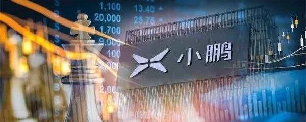 Tucki, Discovery, Morgan, Weilai